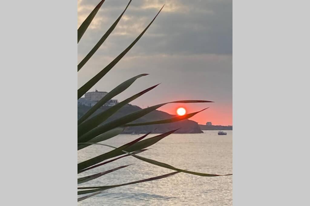 Beautiful 3 Bedroom Apartment By The Sea نيوكويي المظهر الخارجي الصورة